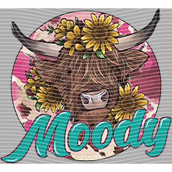 Cow-NIU 2579